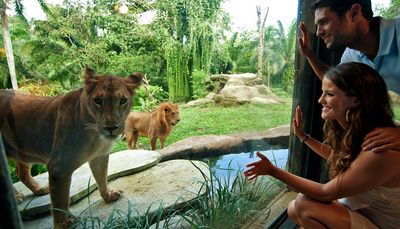 Чем можно заняться на Бали. Зоопарк Бали