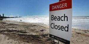 about surfers