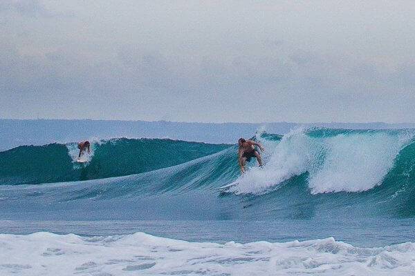 surf indo